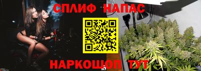 Альфа ПВП Анапа
